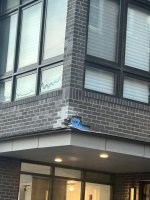 IMG_8200.jpeg