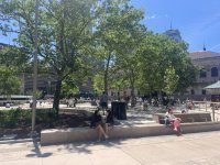 IMG_9853.jpeg