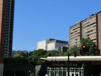 IMG_1287.JPG