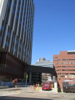 IMG_1292.jpg