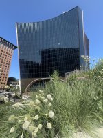 IMG_5128.jpeg