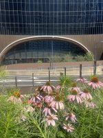 IMG_5130.jpeg