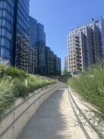 IMG_5132.jpeg