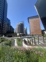IMG_5125.jpeg