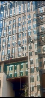 IMG_5284.jpeg