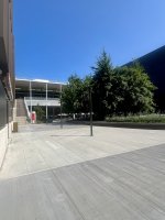 IMG_5105.jpeg