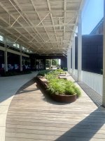 IMG_5106.jpeg