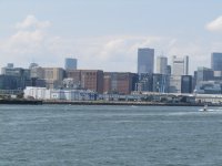 IMG_1423.JPG