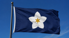 29A9D23A-279F-4636-A8AF-898949239CC4.png