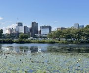 IMG_1317.jpeg