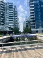 IMG_5231.jpeg